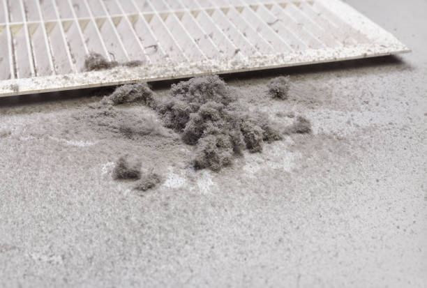 Best Air Duct Inspection  in Arial, SC