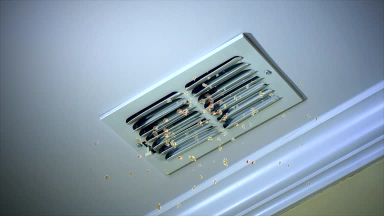 Best Air Duct Cleaning Company Near Me  in Arial, SC