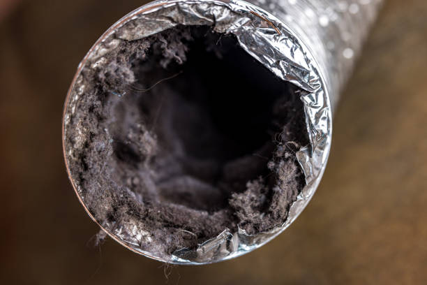 Best HVAC Maintenance and Cleaning  in Arial, SC