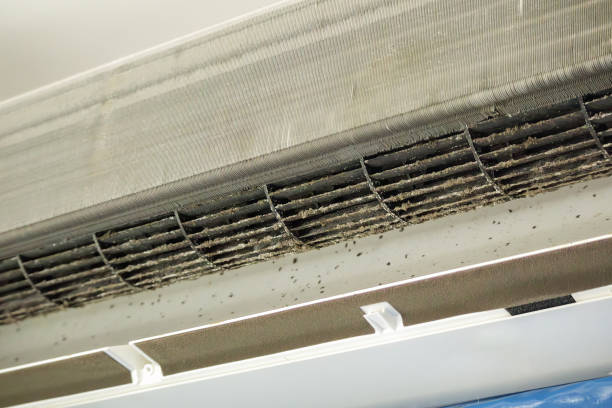 Best Affordable Air Duct Cleaning  in Arial, SC